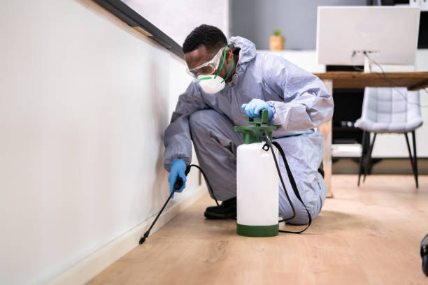 Best Fumigation Services  in Dunstan, ME